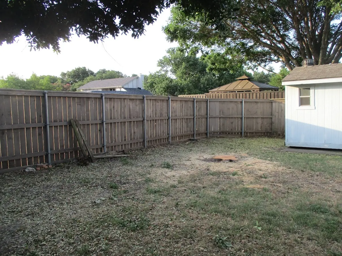Cleared yard after professional tree removal in Willow Creek
